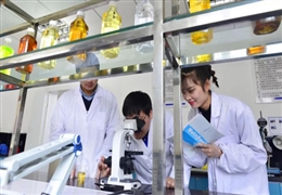 五一勞動(dòng)節，致敬為夢(mèng)想步履不停的金雪馳人