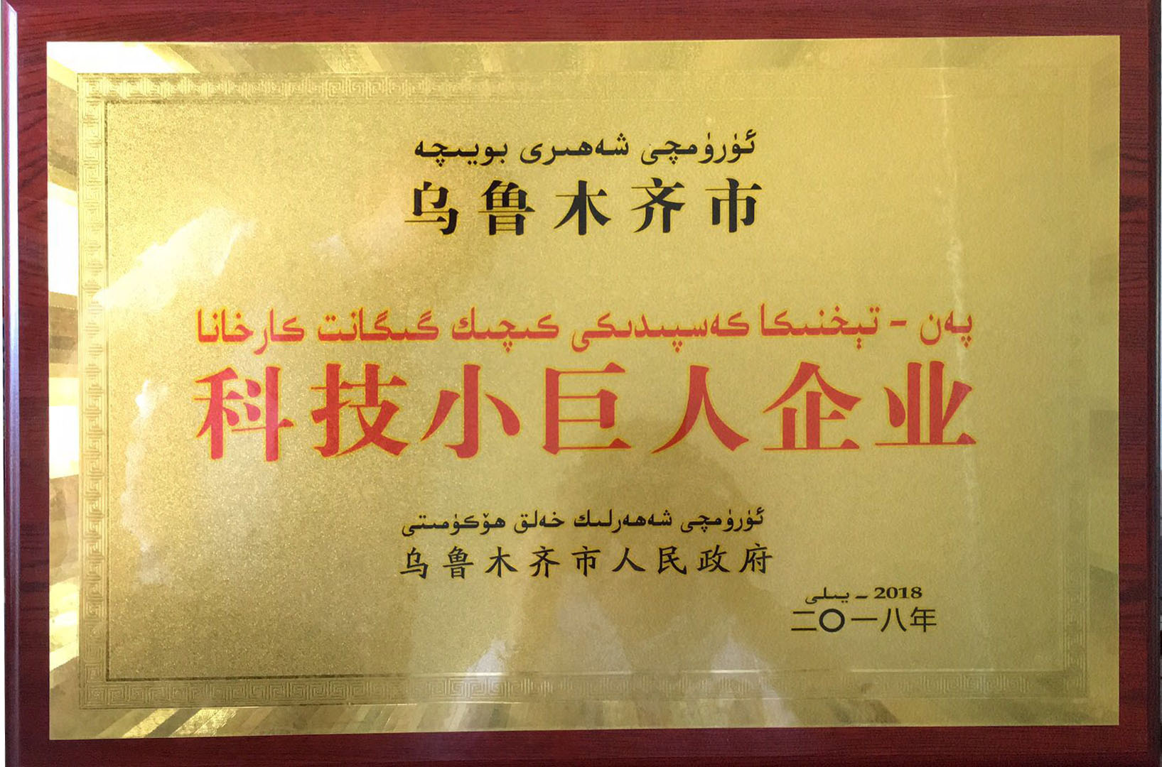 金雪馳榮獲烏魯木齊市首批“科技小巨人”和 “專(zhuān)精特新”企業(yè)榮譽(yù)稱(chēng)號