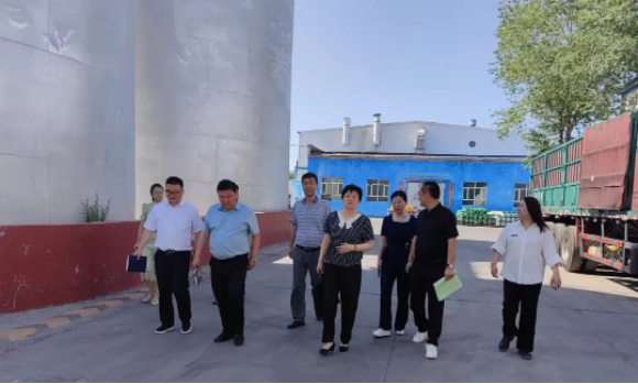 提信心 促發(fā)展|奎屯市副市長(cháng)、伊犁州科技局局長(cháng)、奎屯市科技局局長(cháng)一行調研金雪馳奎屯工廠(chǎng)